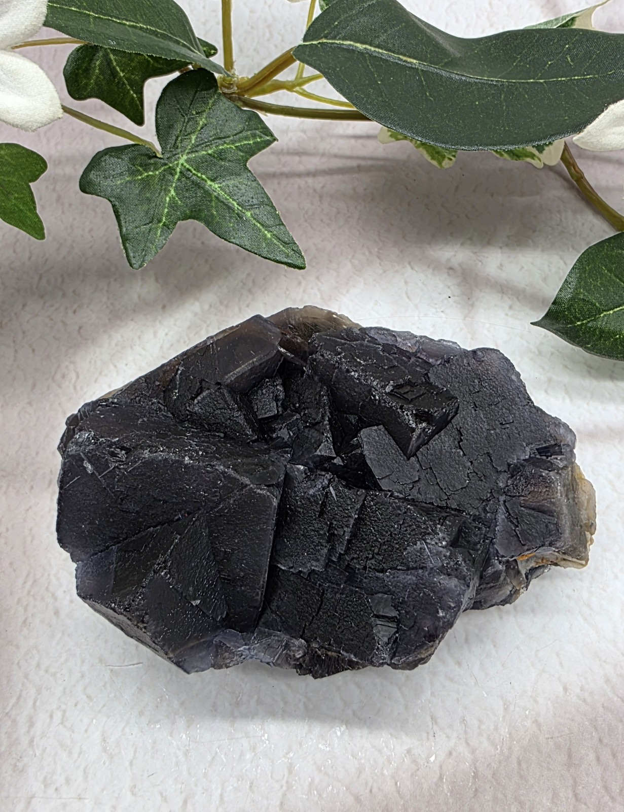 UV Reactive Black Rose Fluorite Pakistan | Rare Fluorescent Crystal Specimen