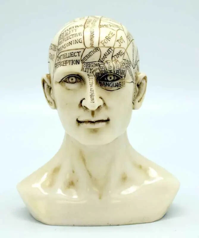 Phrenology Head 6