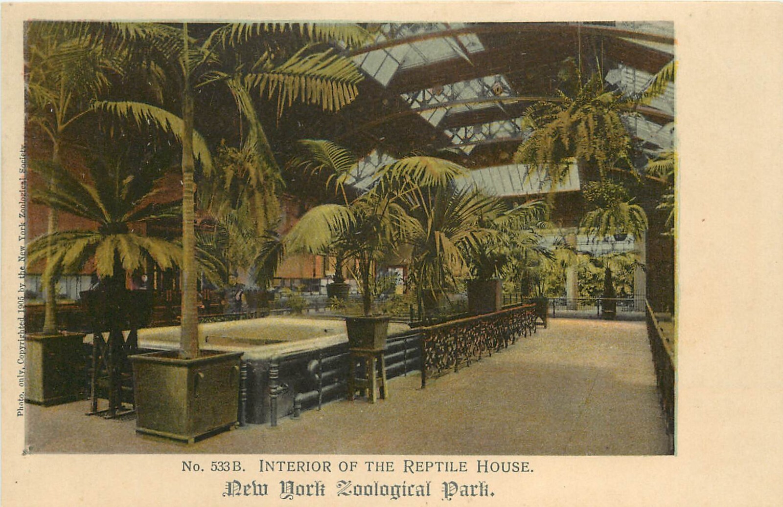 c1906 Postcard 533.B Interior of Reptile House New York Zoological Park Unposted