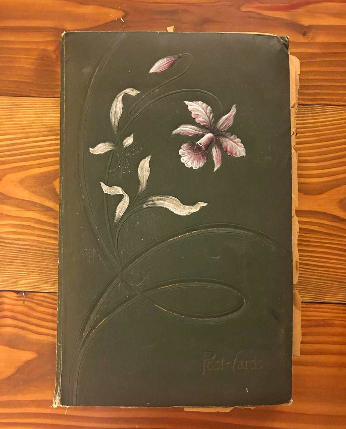 Antique Early 1900s postcard book and collection Travel and holidays