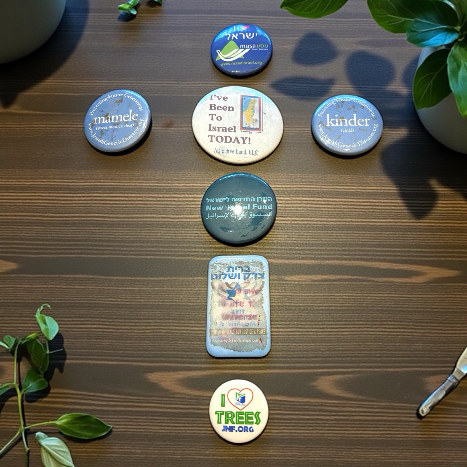 VTG Israel Memorabilia Political Pinback Buttons Multicolor Peace Jewish Lot 7