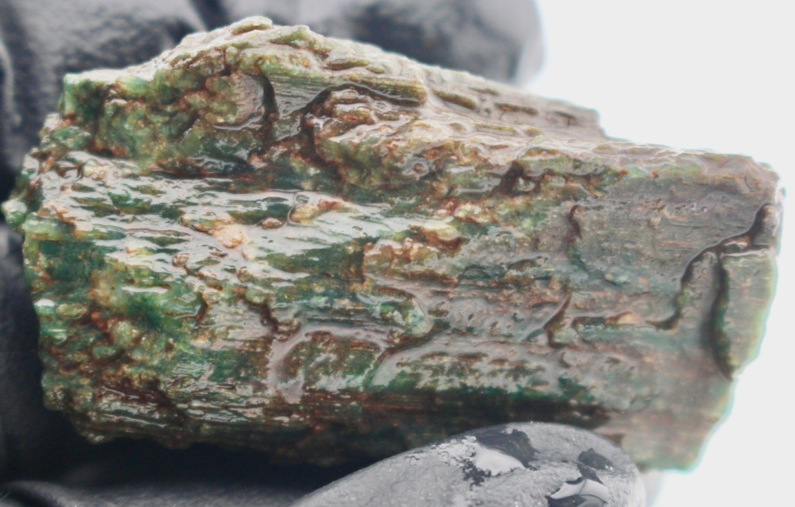 Blue Green Hampton Butte Jasperized Petrified Wood Rough Natural Raw Rare 1.00oz
