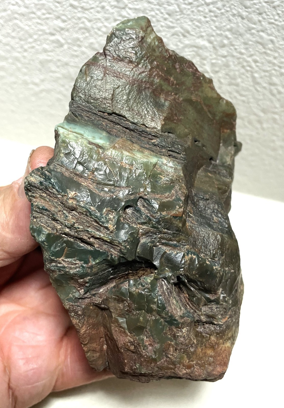 Green Hampton Butte Petrified Wood Desktop Specimen 1 lb