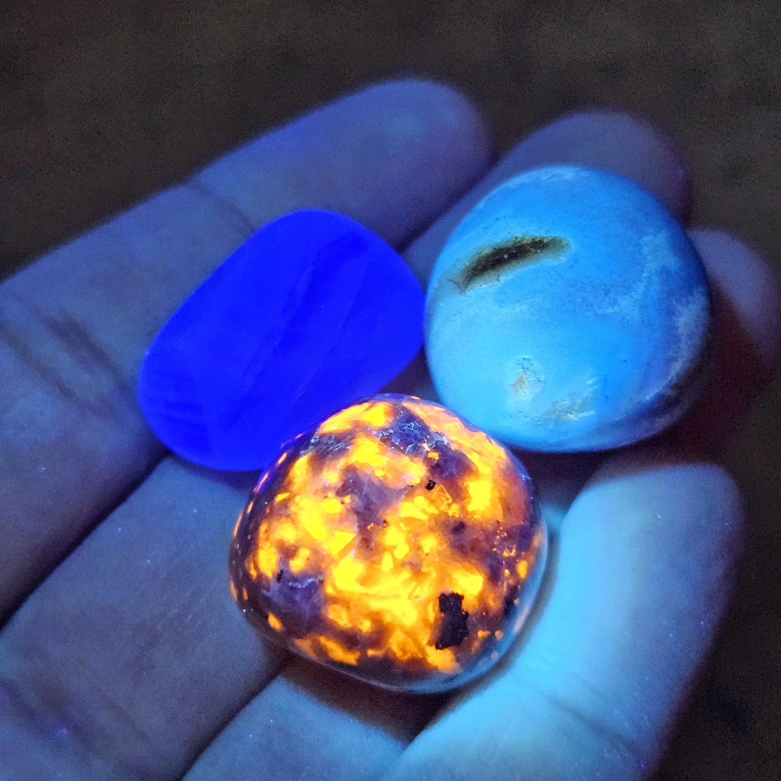 Yooperlite Blue Amber Fluorite Set of 3 UV Reactive Crystals Choose 1 or All 3