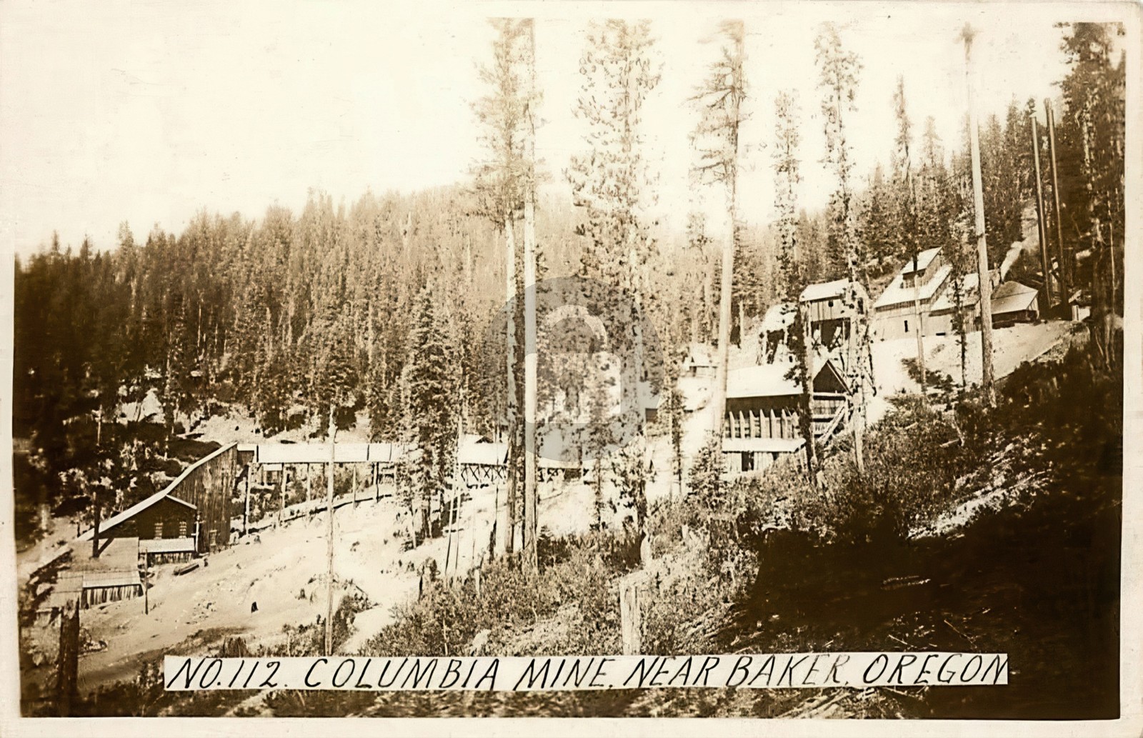 Columbia Mine nr Baker OR Oregon RPPC Photo Postcard COPY