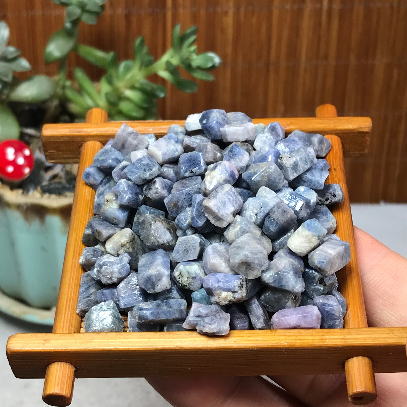 40Pcs Natural Blue Corundum Ruby Crystal Rough original Mineral Specimens A7354