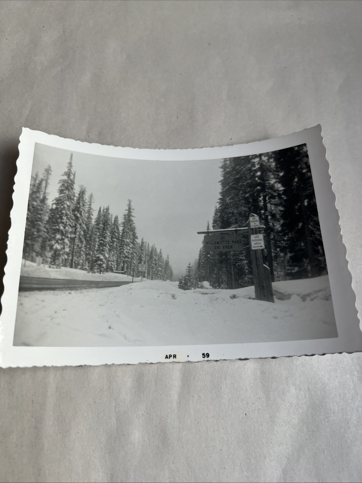 VTG 1959 Photo Willamette Pass Ski Street Sign  3.5
