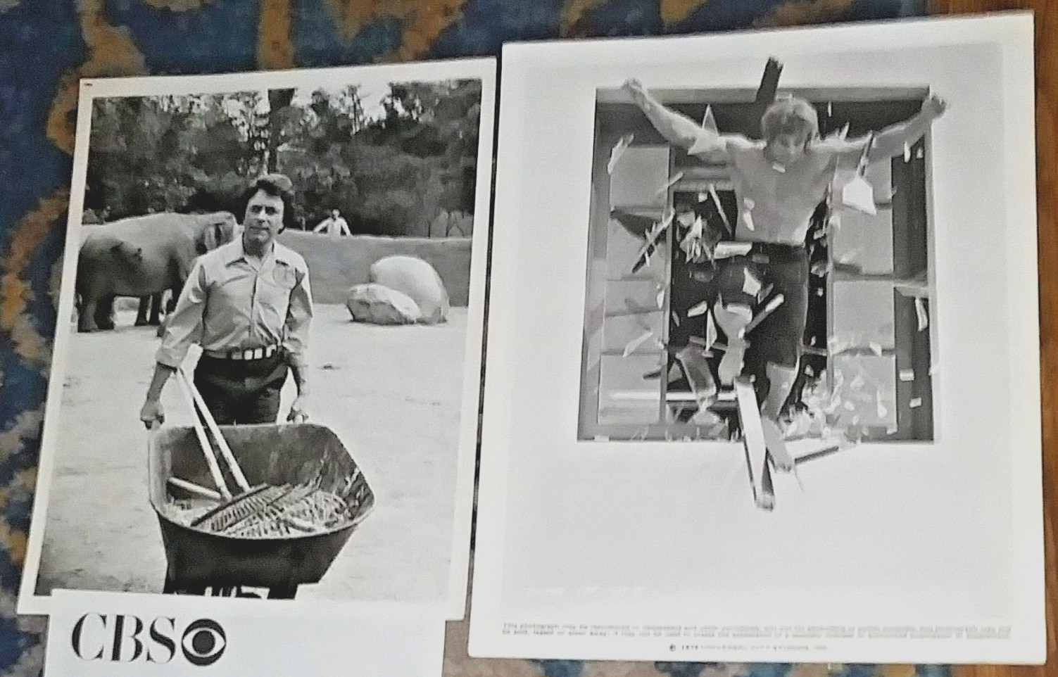 BILL BIXBY & LOU FERRIGNO Incredible Hulk TV SHOW 1979 Press Photo Set