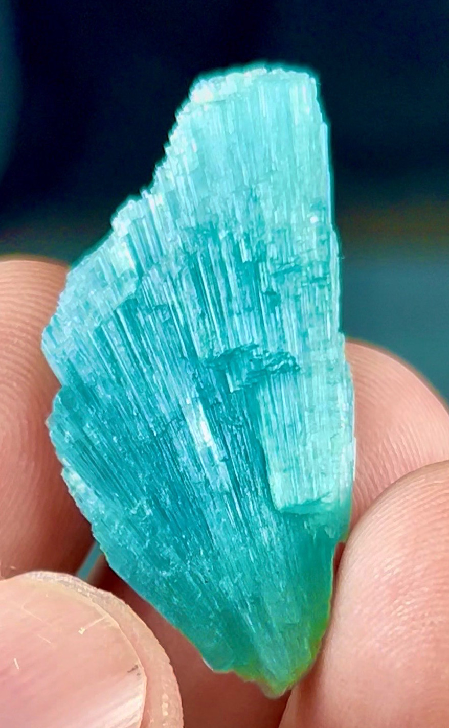 50 Carats Top Quality Blue Tourmaline Crystal Bunch Specimen from Afghani