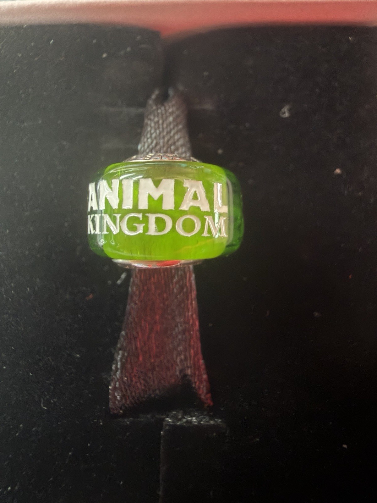 Disney Parks 2026 Pandora WDW 55th Anniversary Animal Kingdom Murano Glass Charm