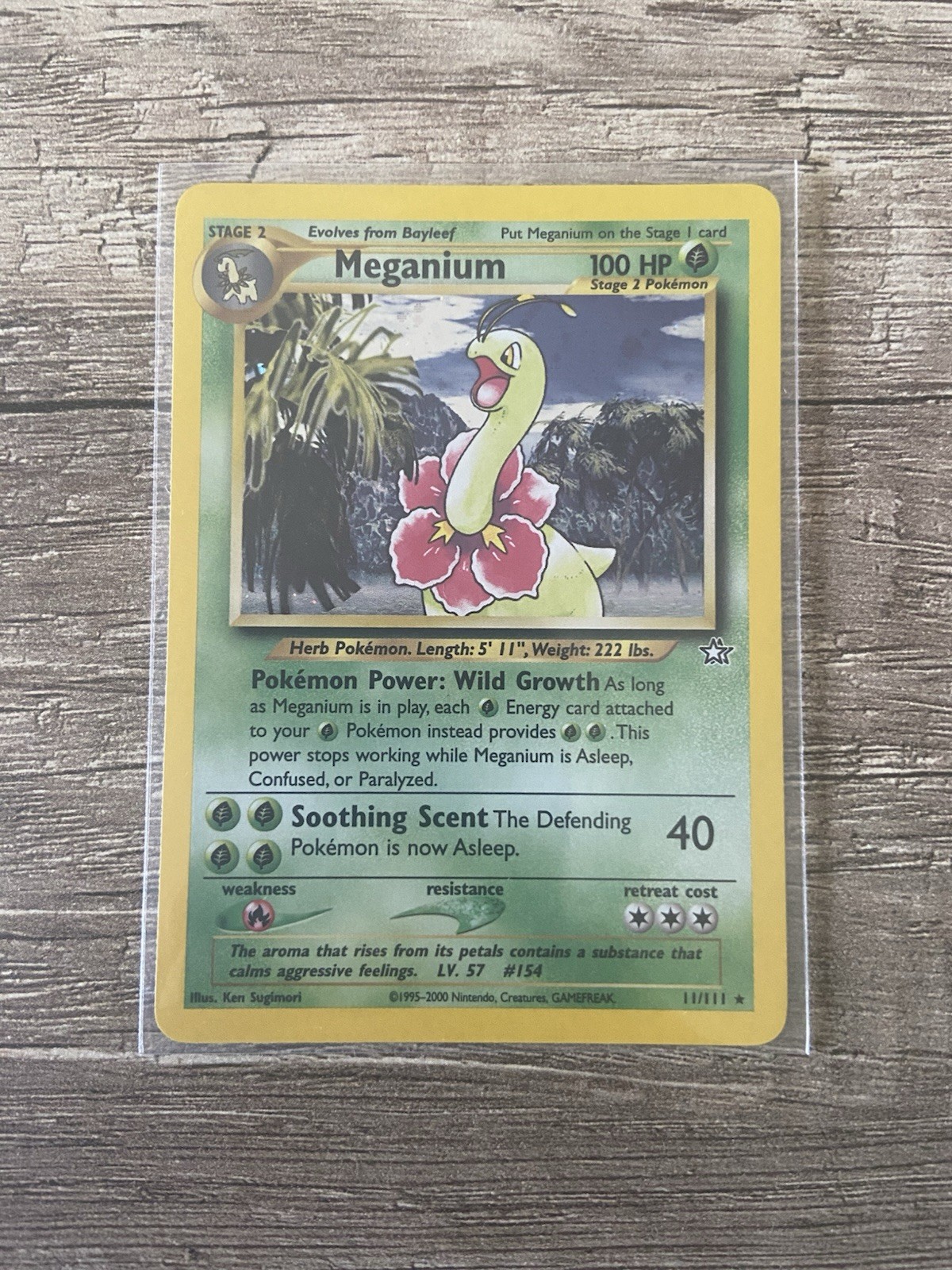 Pokemon Card - Meganium / Meganie - 11/111 - Holo, Rare - English