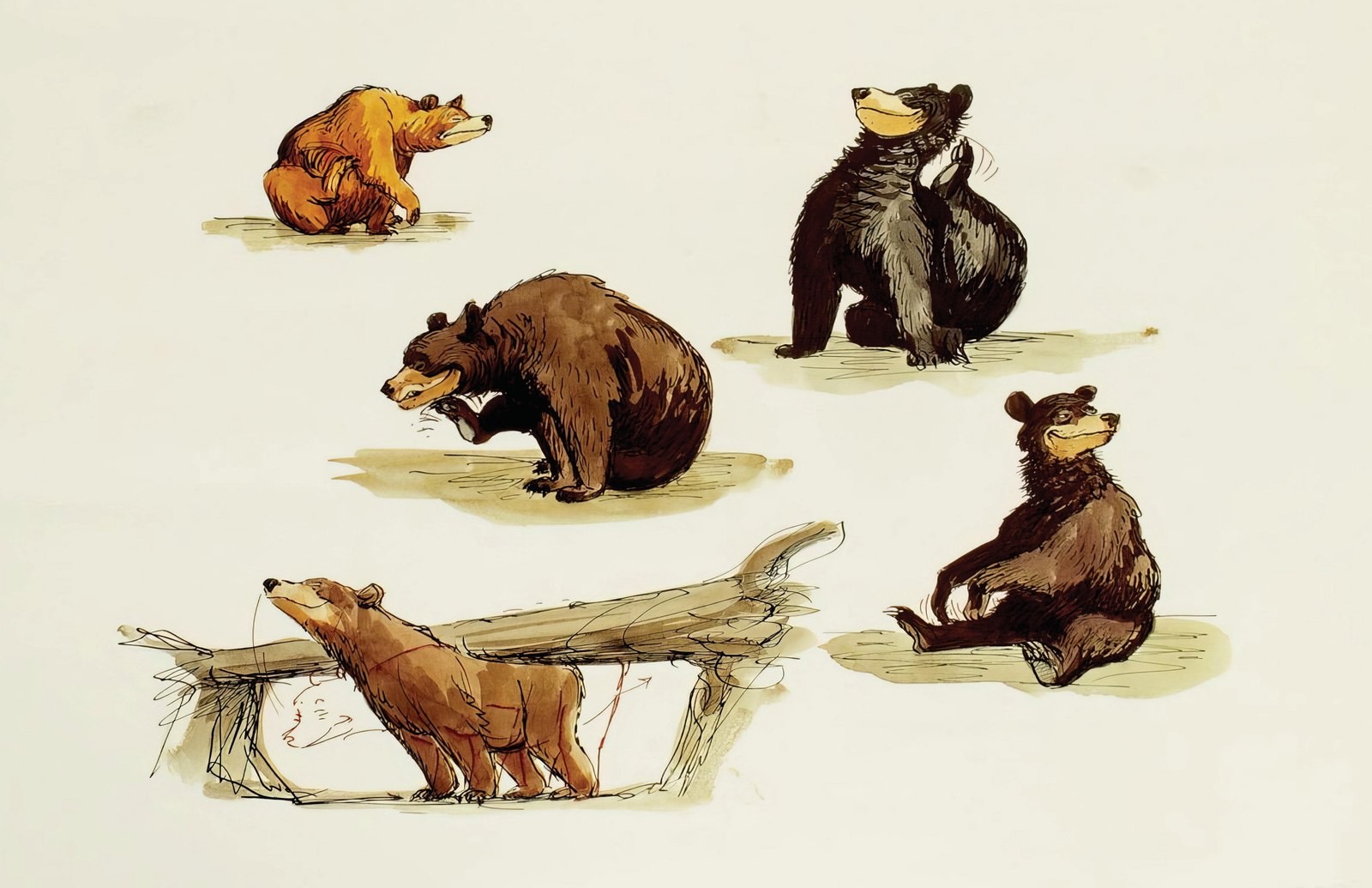 Nature\'s Wonderland Bears Marc Davis Concept Art Sketch Disneyland Poster Print
