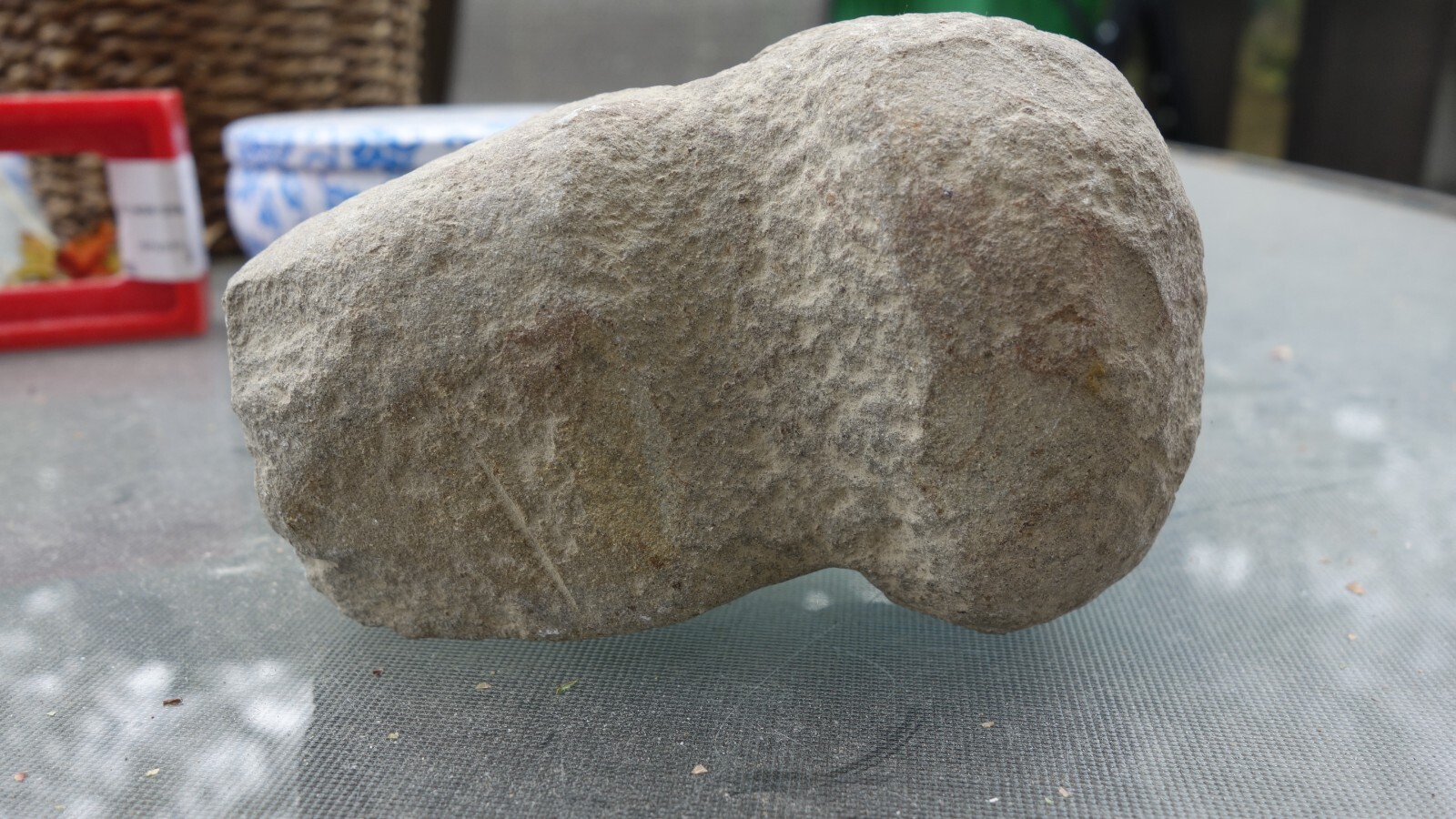 Archaic Period Native American Stone Axe Maul Head From Iowa Over 3,000 Yrs Old