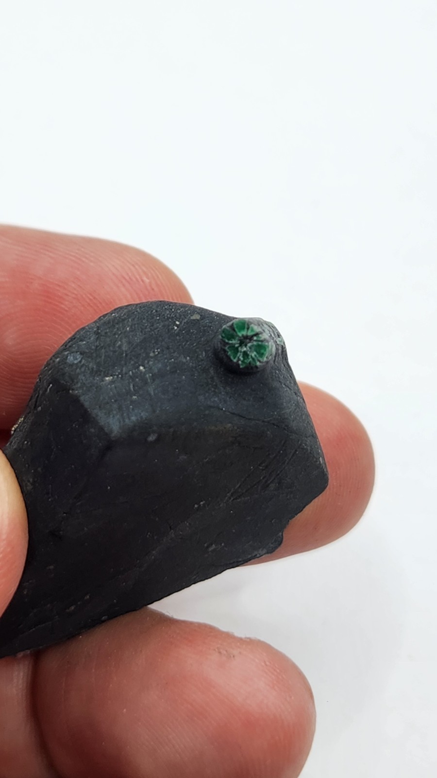 28g Rare Natural Colombian Trapiche Emerald Crystal in Black Shale Matrix 40mm