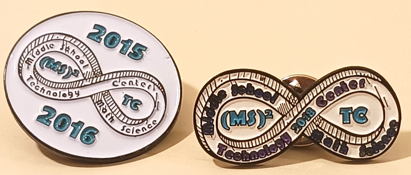 Lot of 2 Vintage Middle School Math Science Technology Pins Awards 2015-2016
