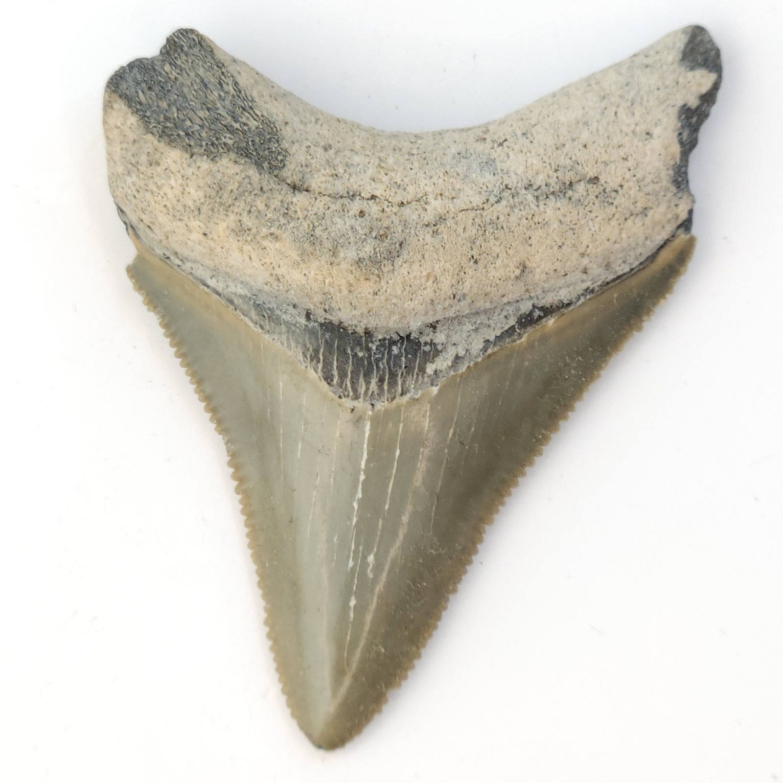 Bone Valley Green 1.88