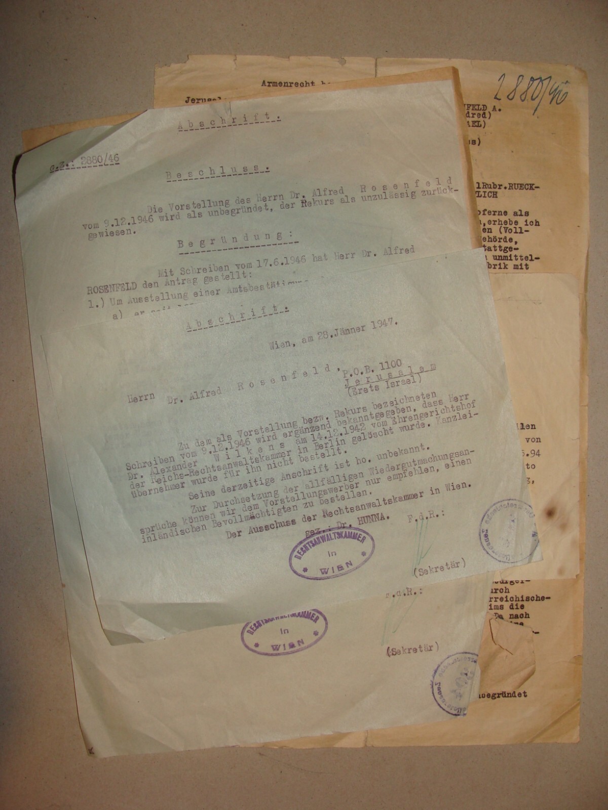 Germany Document Palestine Jewish Judaica 1946 Post WWII Austria German   Israel