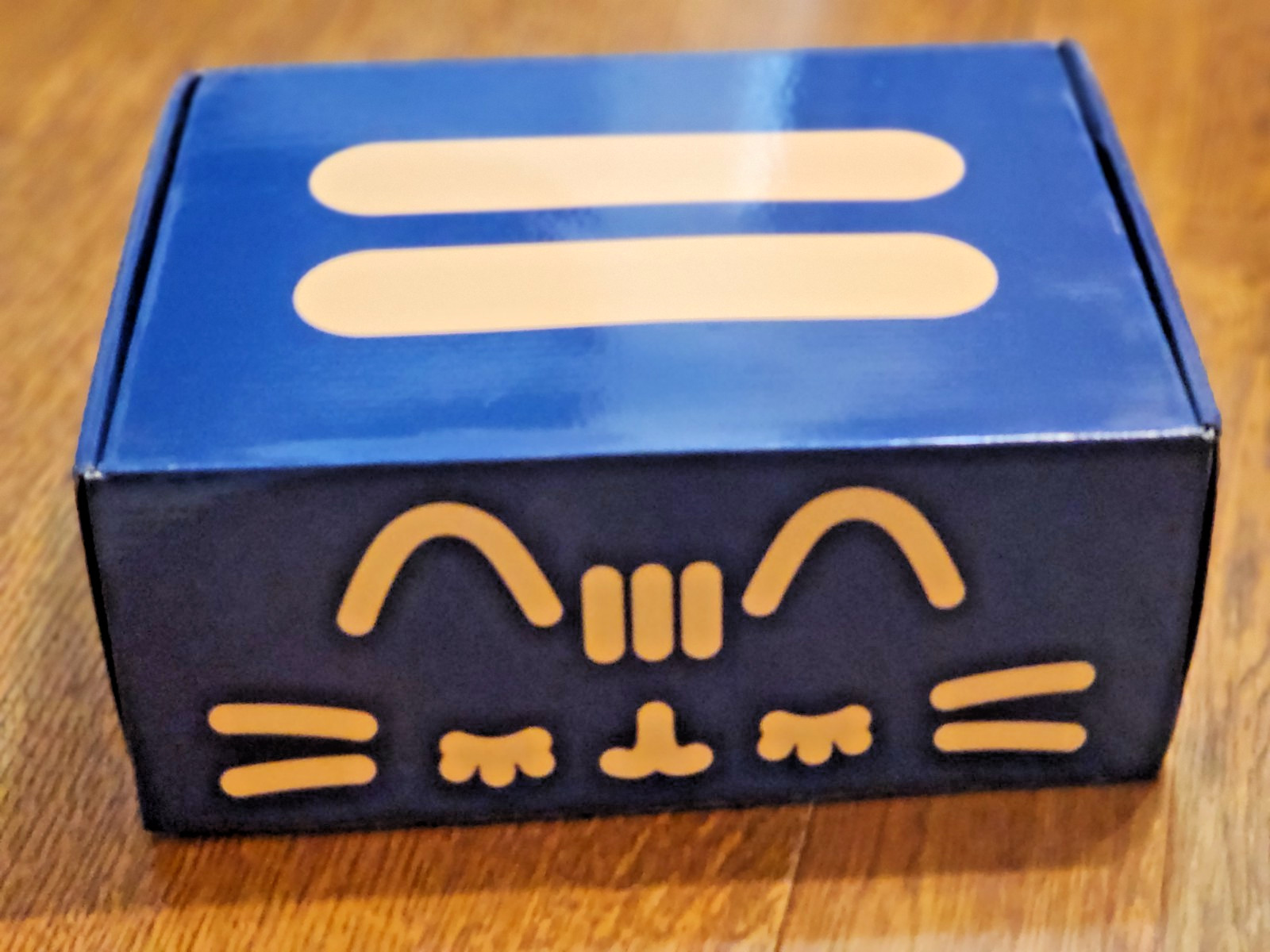 Pusheen seasonal subscription box by CultureFly Fall 2020