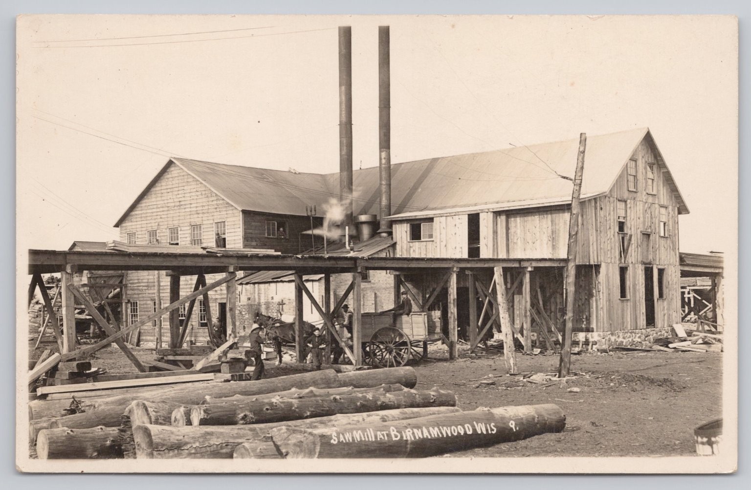 RPPC Saw Mill Birnamwood WIS Wisconsin Logging Lumber Industry Postcard 1900s