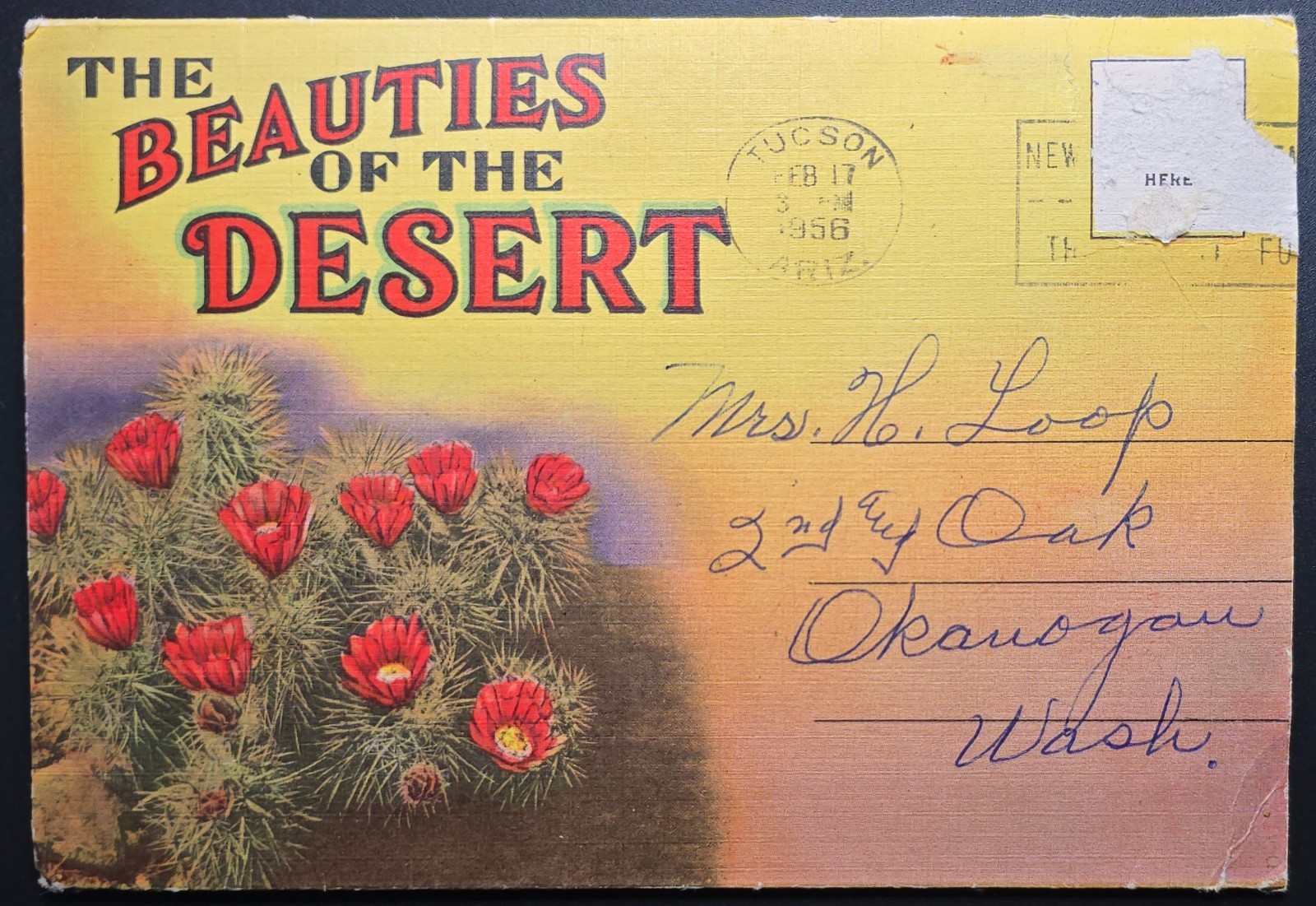 1956 Tucson Arizona “Beauties of the Desert” FoldOut Postcard Booklet Curt Teich