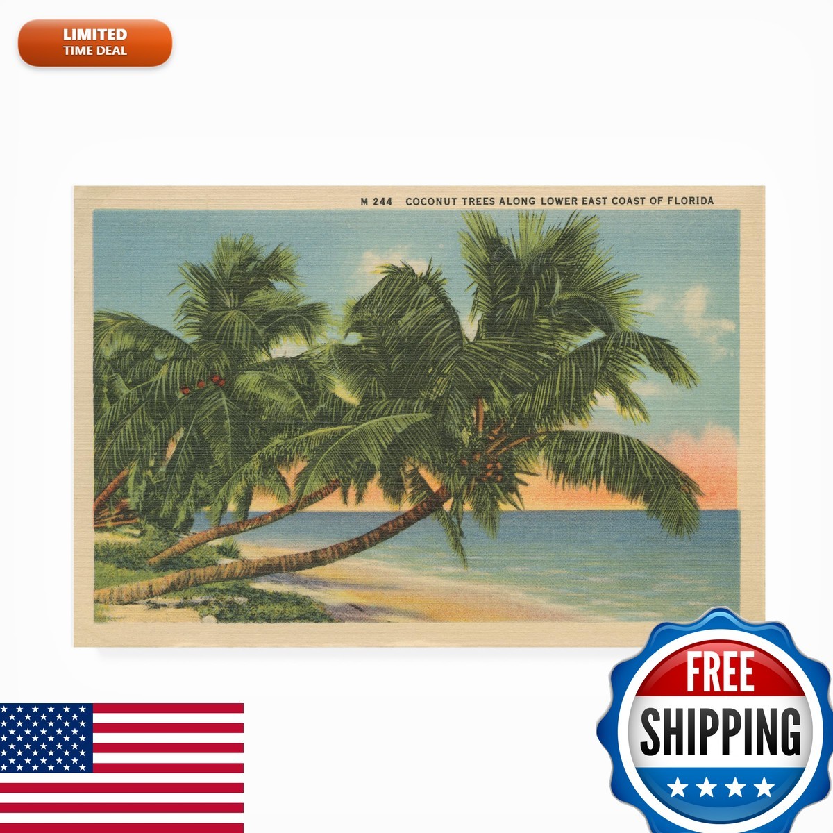 Trademark Fine Art Wild Apple Portfolio Florida Postcard III Outdoor All-Weather