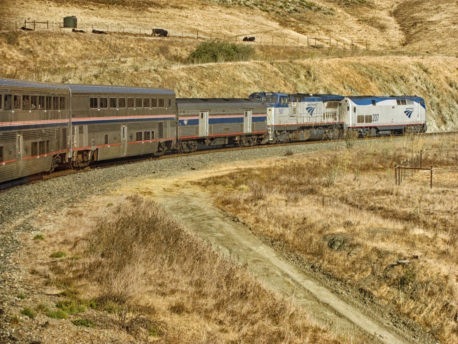 Amtrak GE P42DC 207 and Amtrak GE P32BWH 507 w the Coast Starlight 8 x 10 Photo