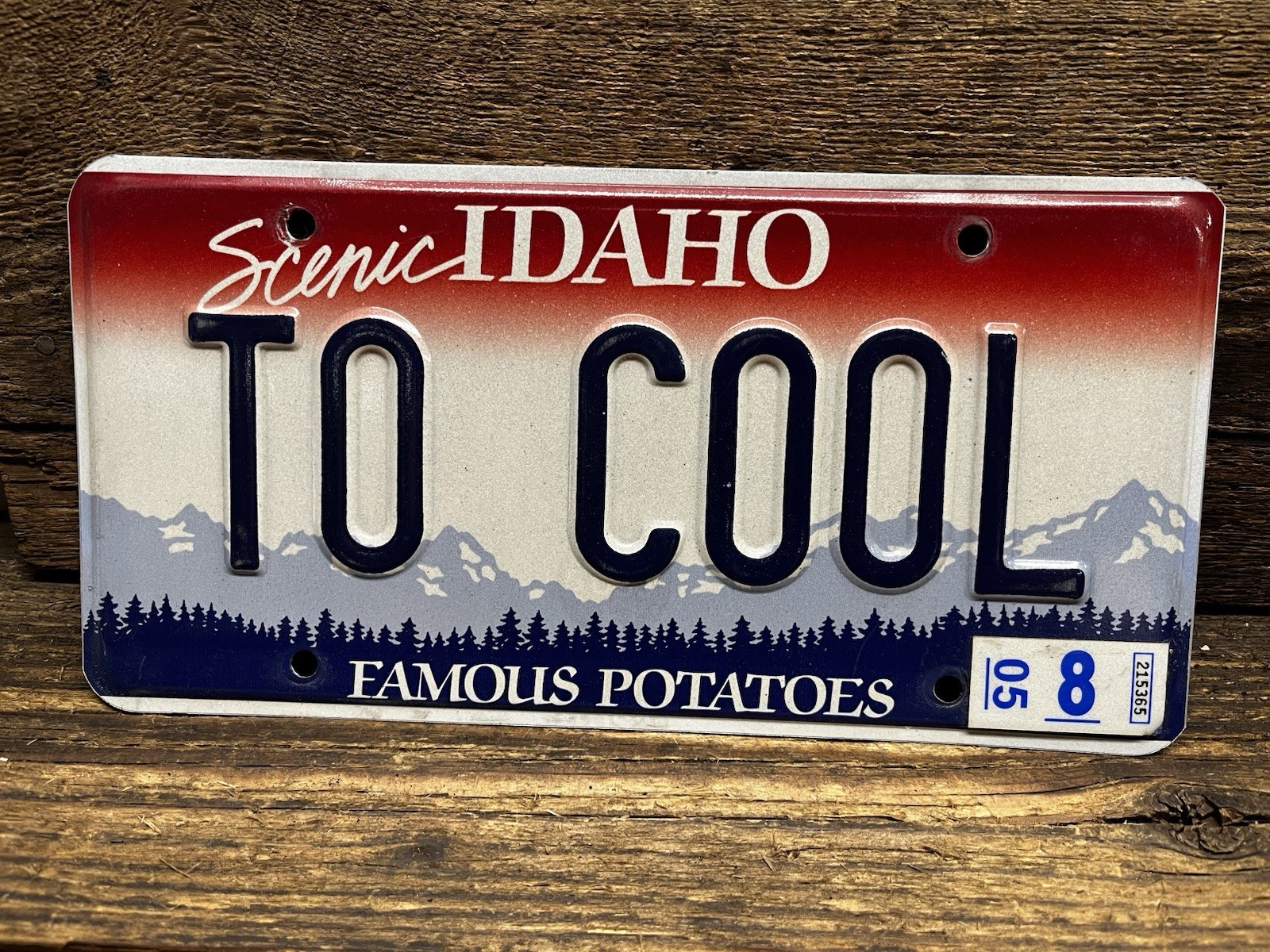 2005 Idaho Vanity License Plate ~ TO COOL  ~ Near Mint