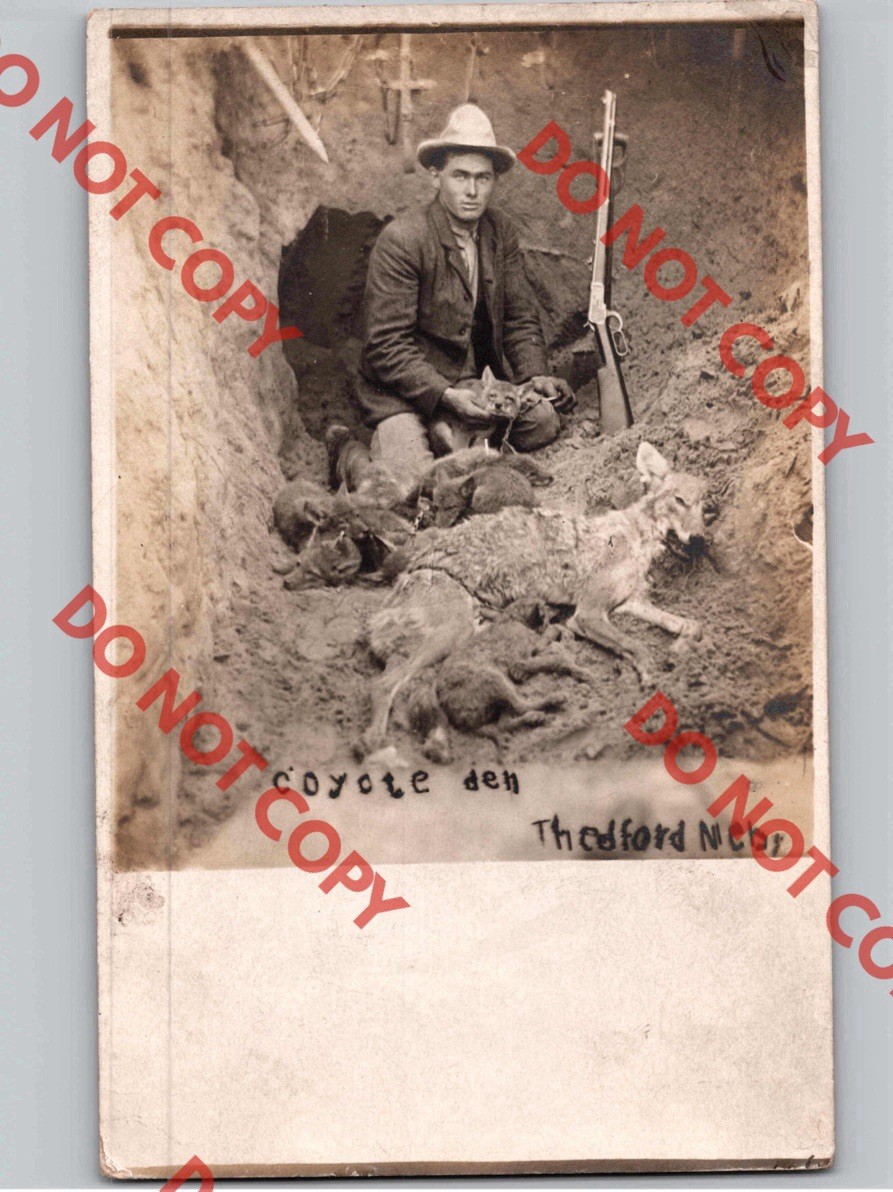 c1910 Hunter w/ Dead Coyotes Den Gun THERFORD Nebraska NE Thomas RPPC Real Photo