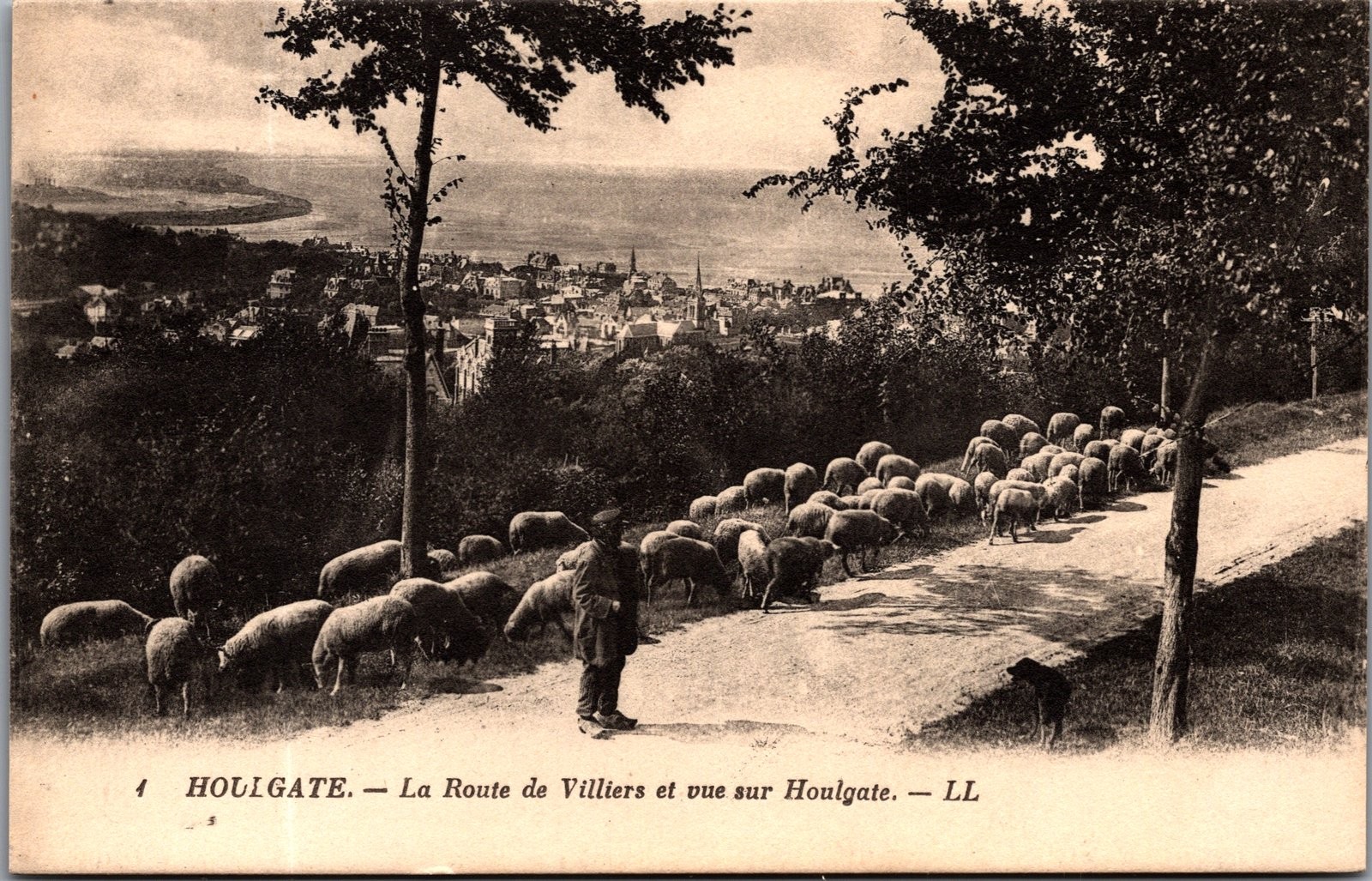 1900s Houlgate France Postcard Sheep Flock Route de Villiers Lévy et Neurdein