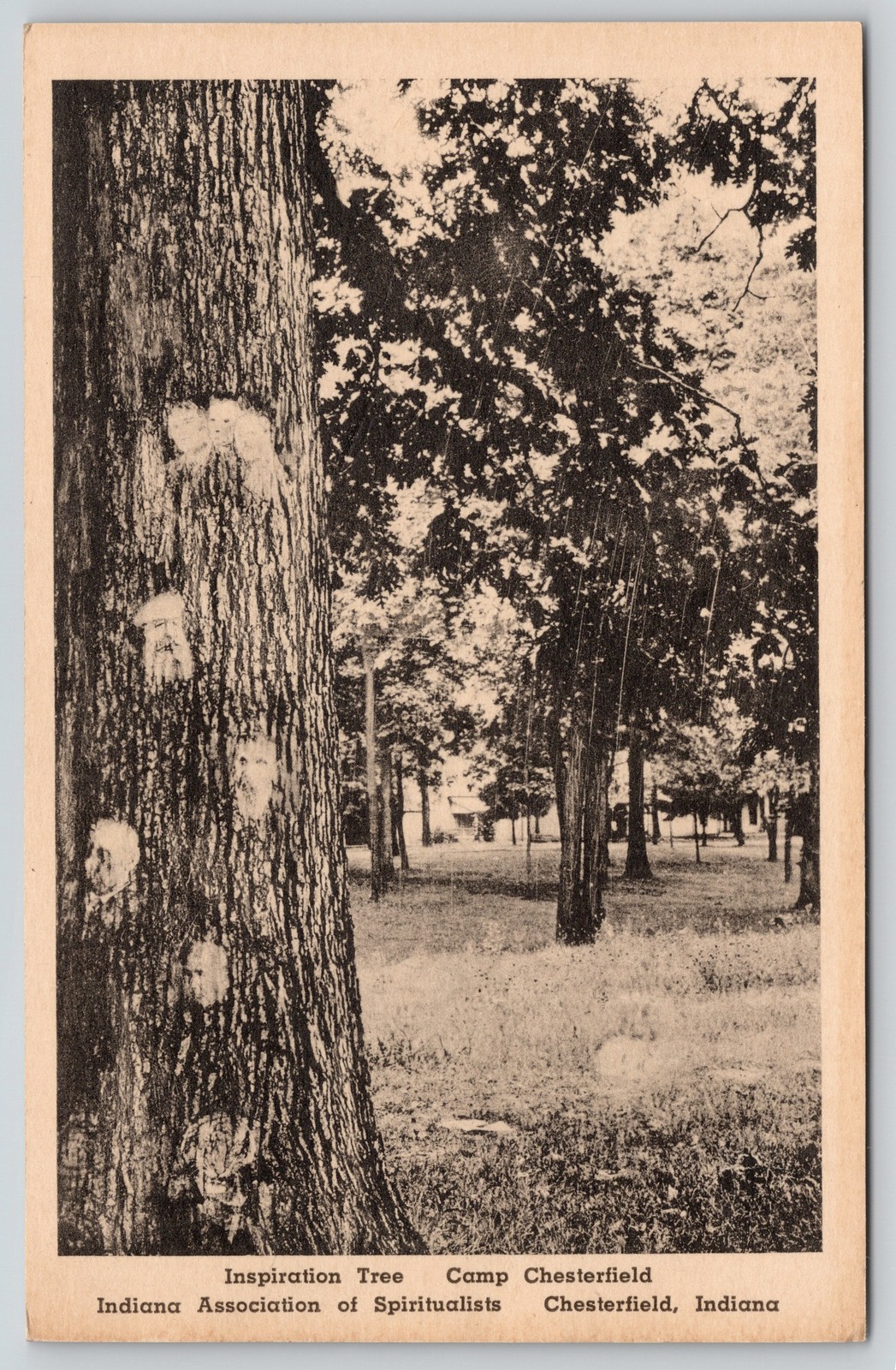 Inspiration Tree Spirit Faces Camp Chesterfield Indiana Postcard