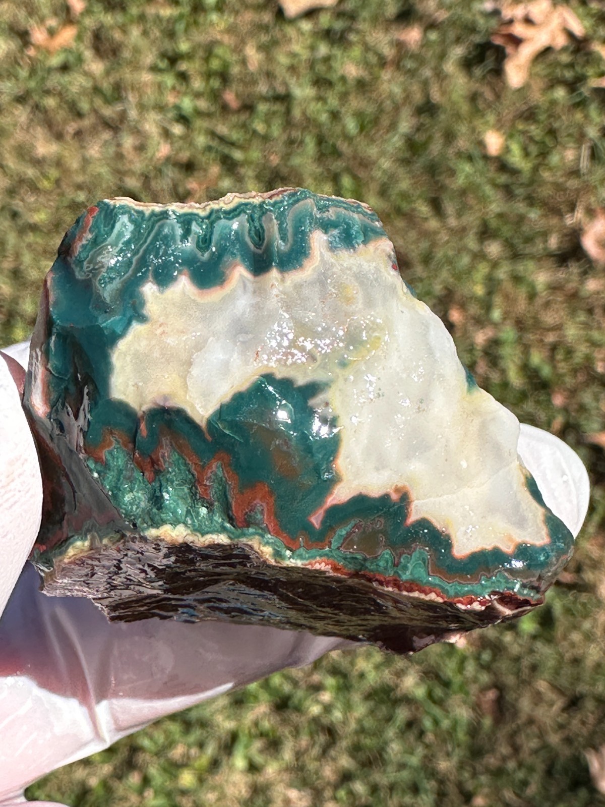 PREMIUM SPECIMEN__RARE Idaho Sunset Jasper / Agate Rough - Lemhi County, Idaho