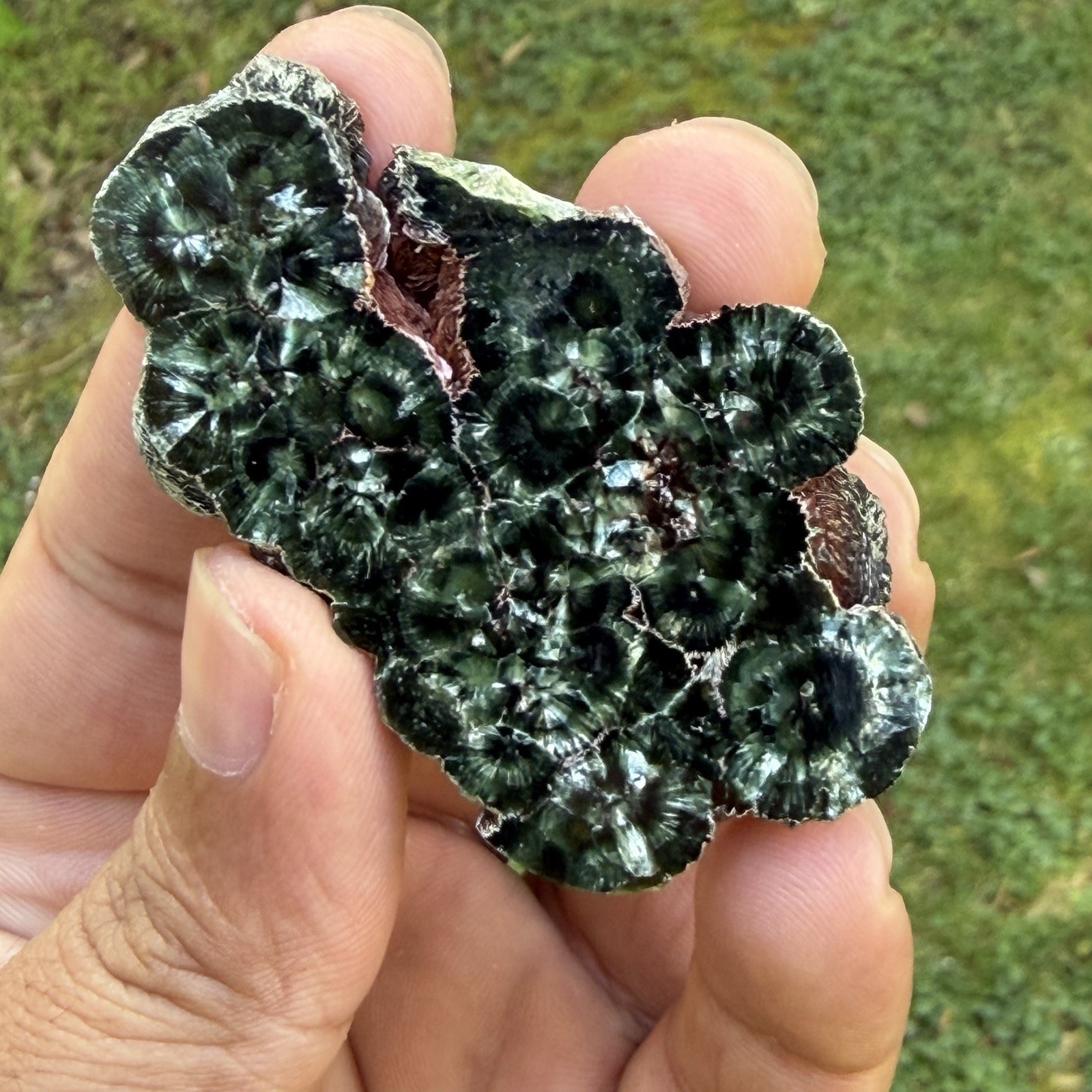 New Acquisition Of AAA Quality Seraphinite From Russia, 25gm, US Seller