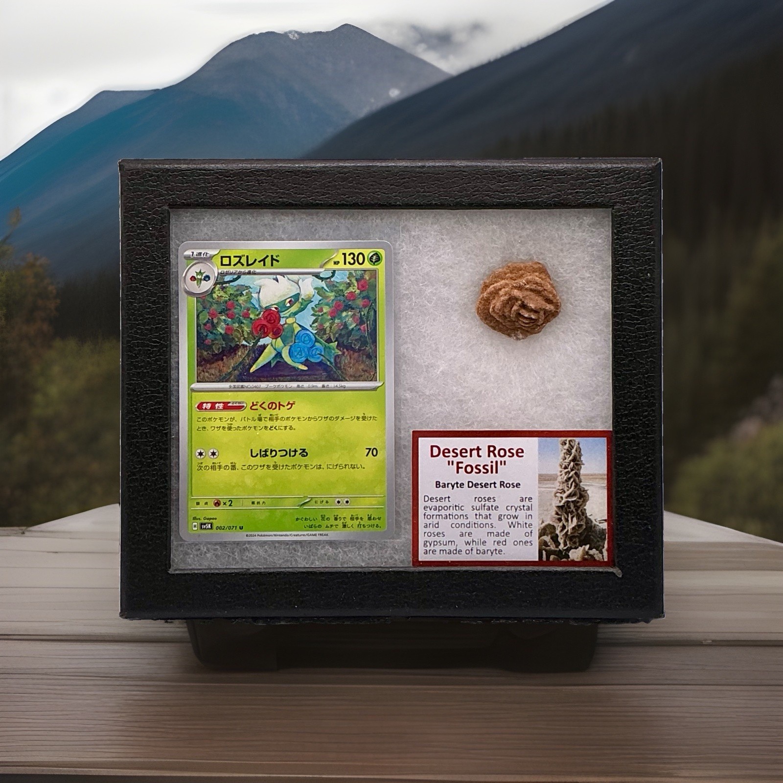 Roserade Pokémon Card With Authentic Desert Rose Fossil (Baryte) In Display Box