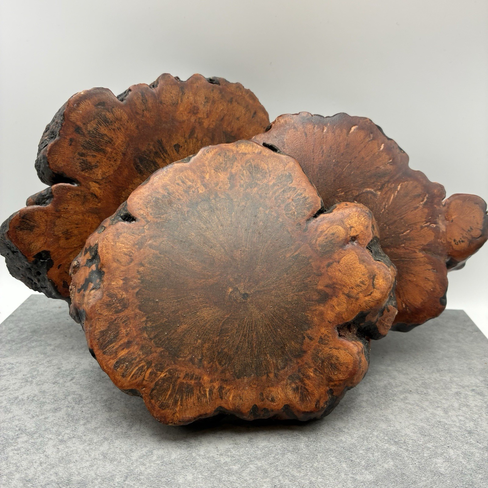 Japanese Natural Wood Kadai Bonsai Display Stand Slab Set of 3 Japan Vintage