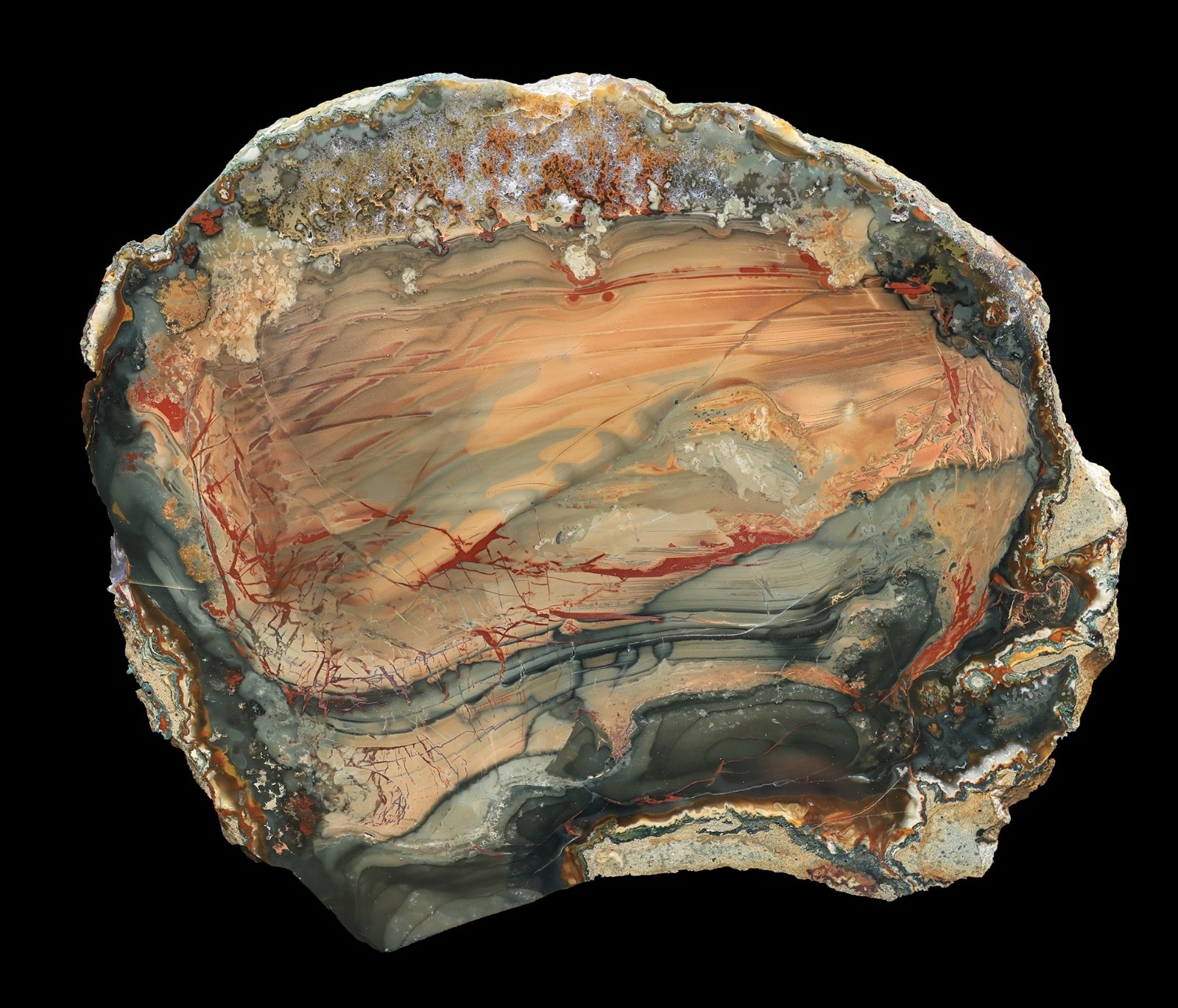Grade AAA Multi Color XXL Blue Mountain Picture Jasper Specimen Polished