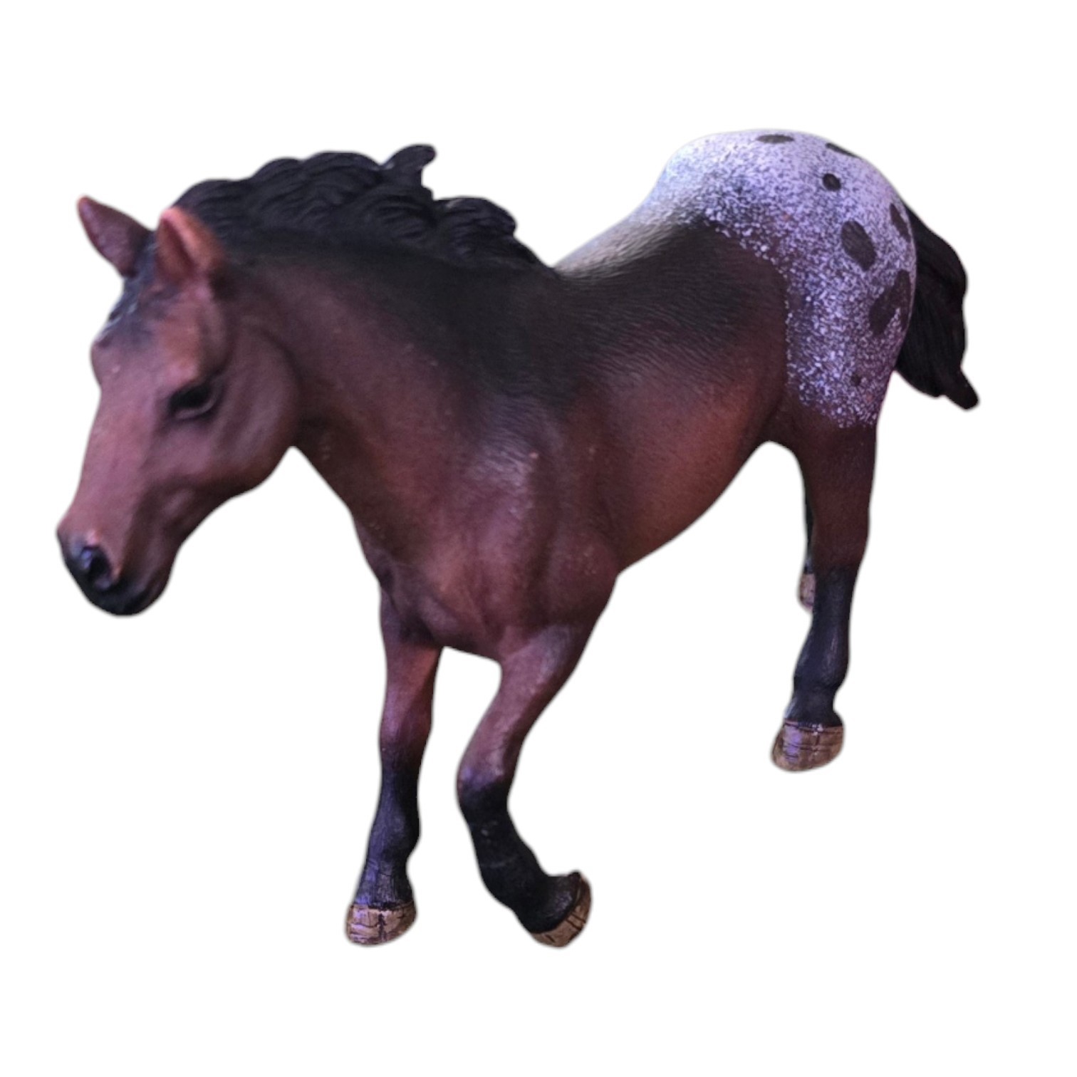 Schleich Brown Horse Appaloosa Stallion 2012 AM Limes 69 D73527 Schw. Gmund