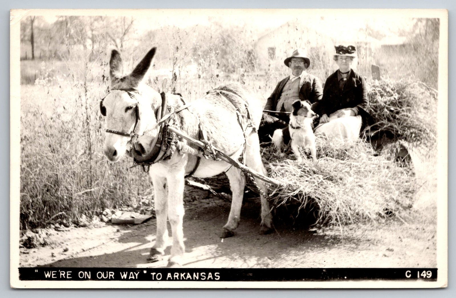 Arkansas Humor RPPC 1963 Mountain Home ARK Vintage Photo Postcard