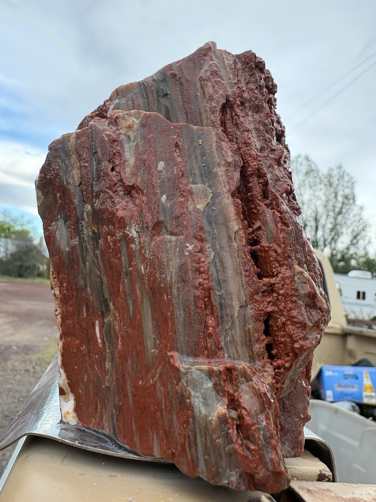 ☘️RR⛏️: Druzy Red Chalcedony Arizona Petrified Wood, 2+ Lb 🌈