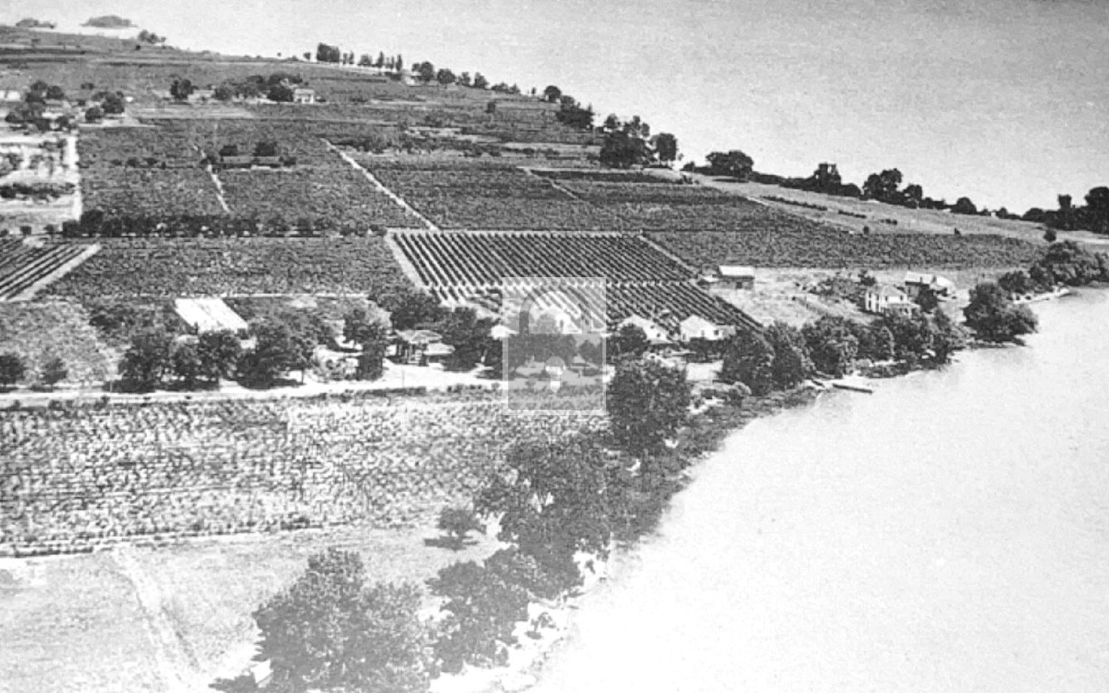 Birds Eye View Farming Land Put In Bay Ohio OH - Reprint