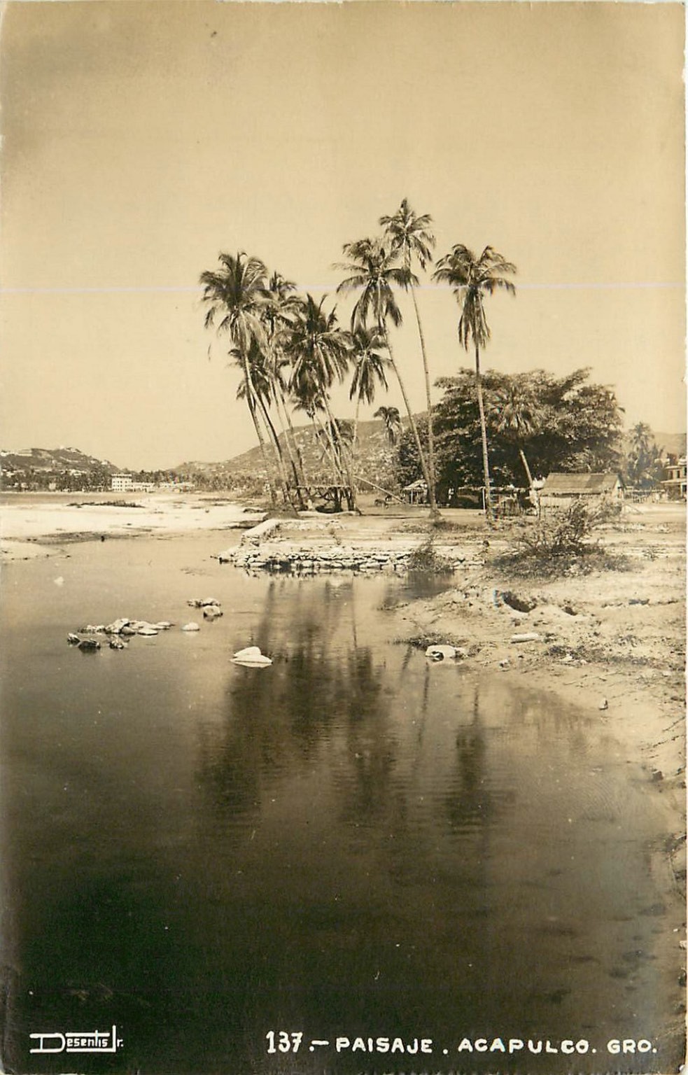 Vintage RPPC Acapulco Mexico Paisaje Palm Trees Coastal Landscape Postcard