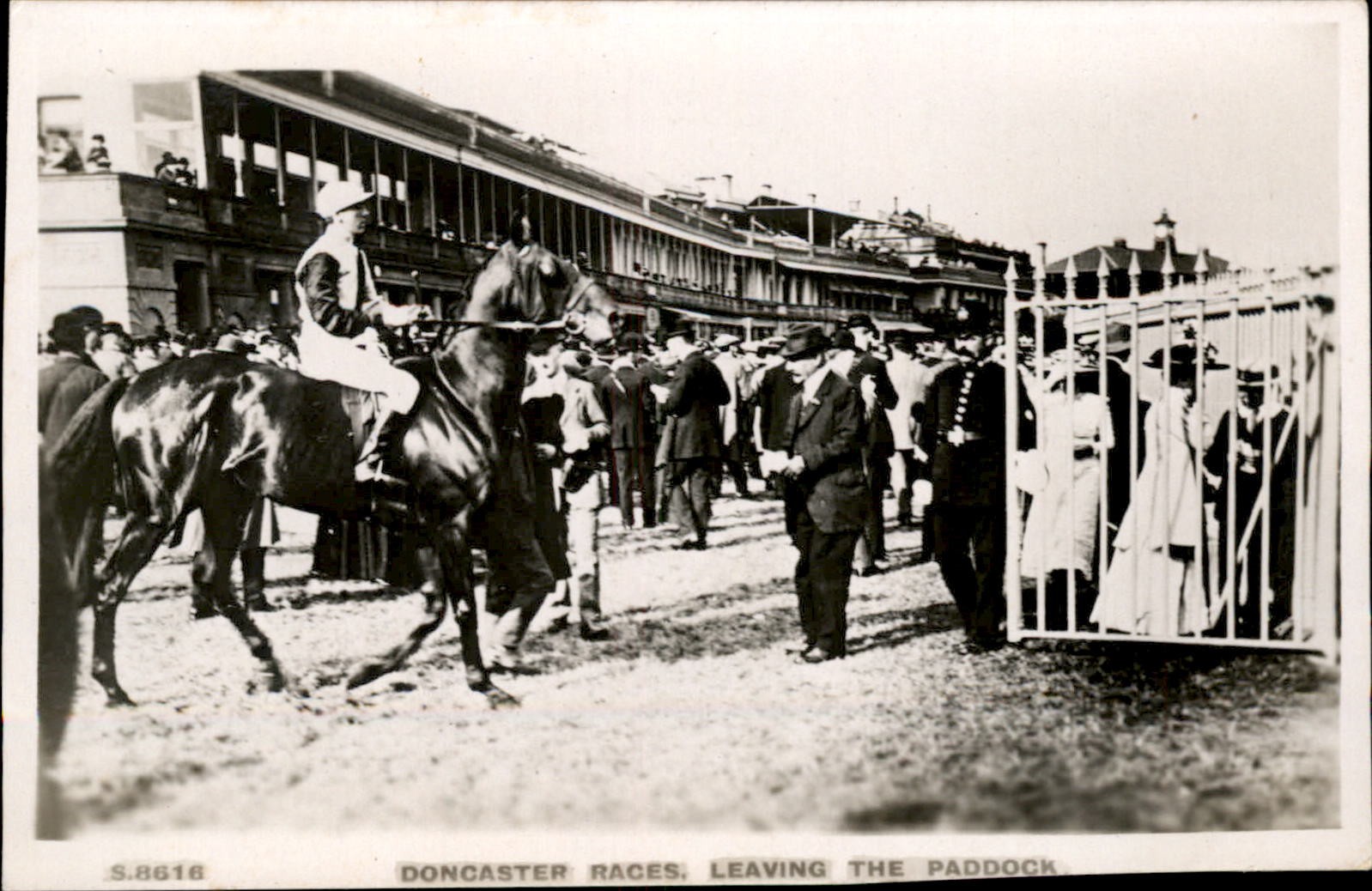 Doncaster Horse Racing Paddock Kingsway c1930s-40s Real Photo Vintage Postcard