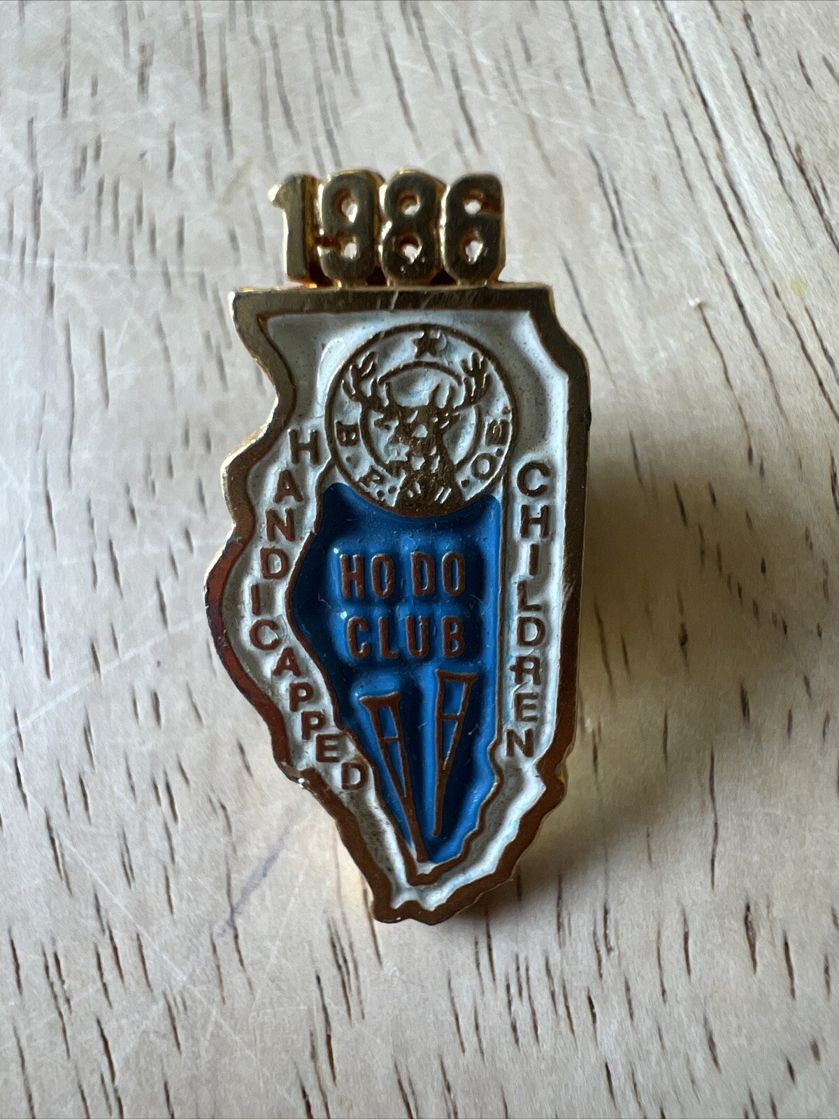 Vintage 1986 Illinois HODO Club Handicapped Children Pinback