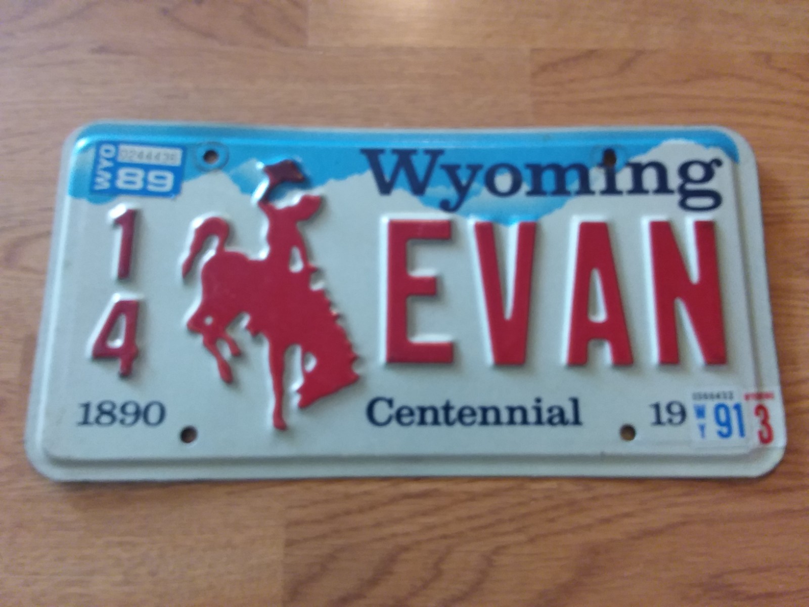 1890--1990 Wyoming Centennial Vanity License Plate--\