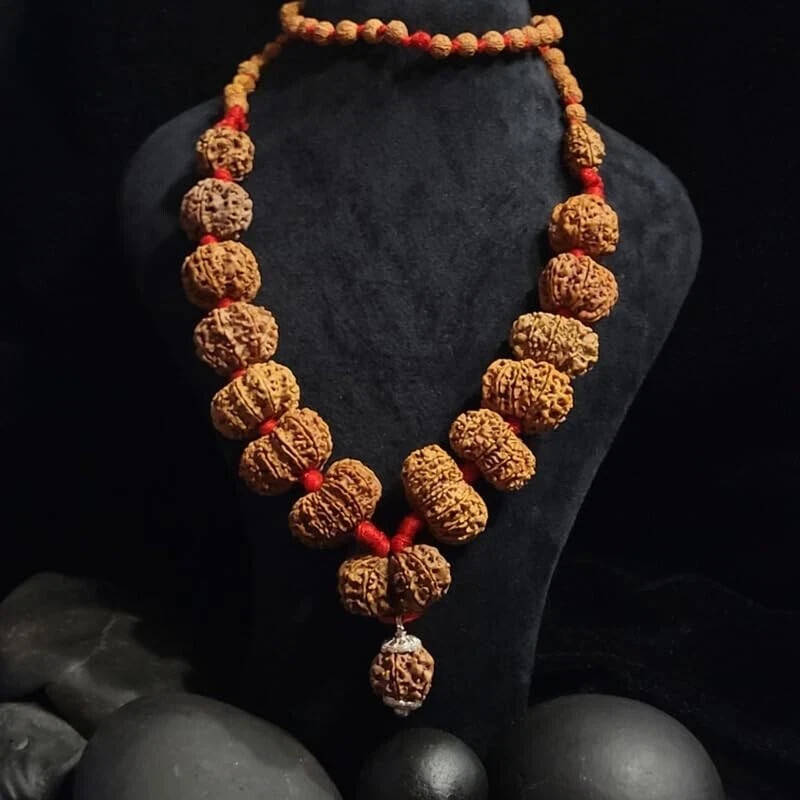 Real Sarva Siddha Mala Original Certified Nepali 1 se 14 Mukhi Rudraksha Mala Wi