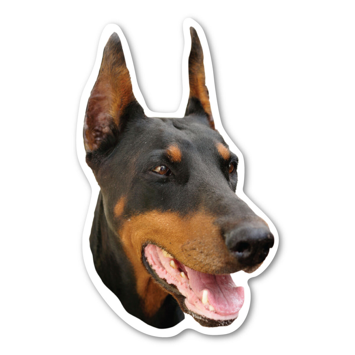 Doberman Pinscher Magnet