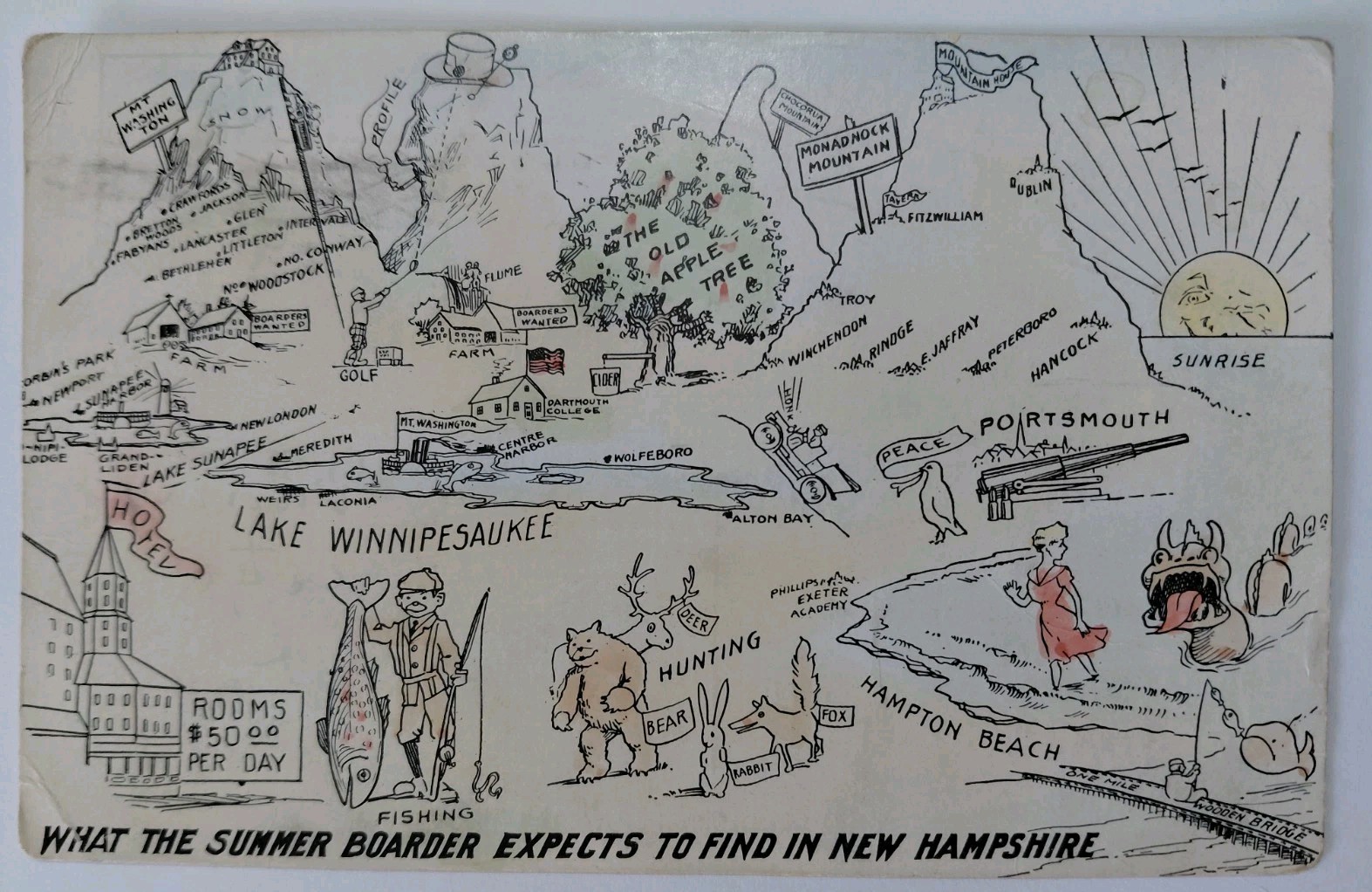 1912 What Summer Boarder Expects Find Lake Winnipesaukee New Hampshire Postcard