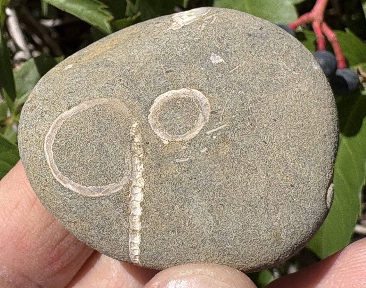 ☘️RR⛏️: The “90 Rock” “Go Rock” Oregon Beach Stone