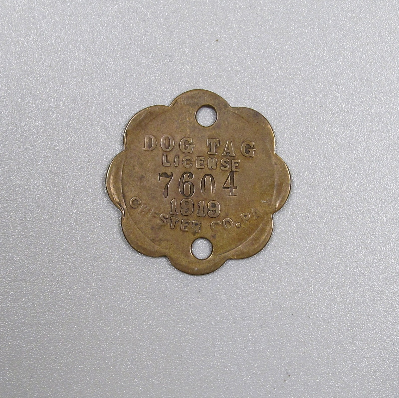 Scarce Early Antique 1919 Chester Co, PA Dog Tax License #7604