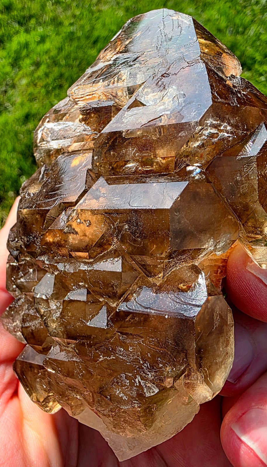 🔥 EXCEPTIONAL SMOKY SKELETAL / FENSTER QUARTZ — BALOCHISTAN, PAKISTAN 🔥
