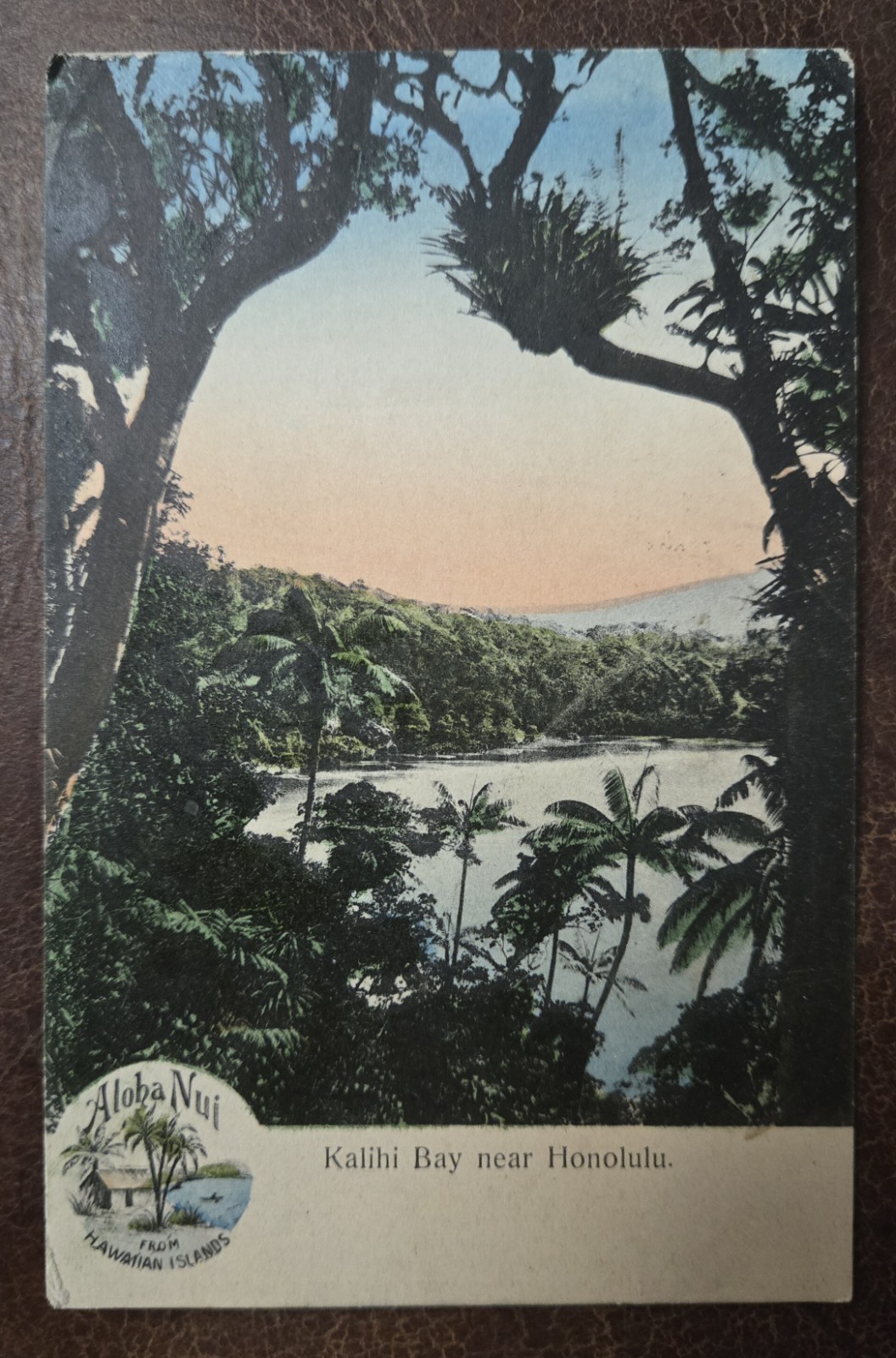 Vintage Antique 1909 Kalihi Bay near Honolulu Aloha Nui Hawaiian Islands 